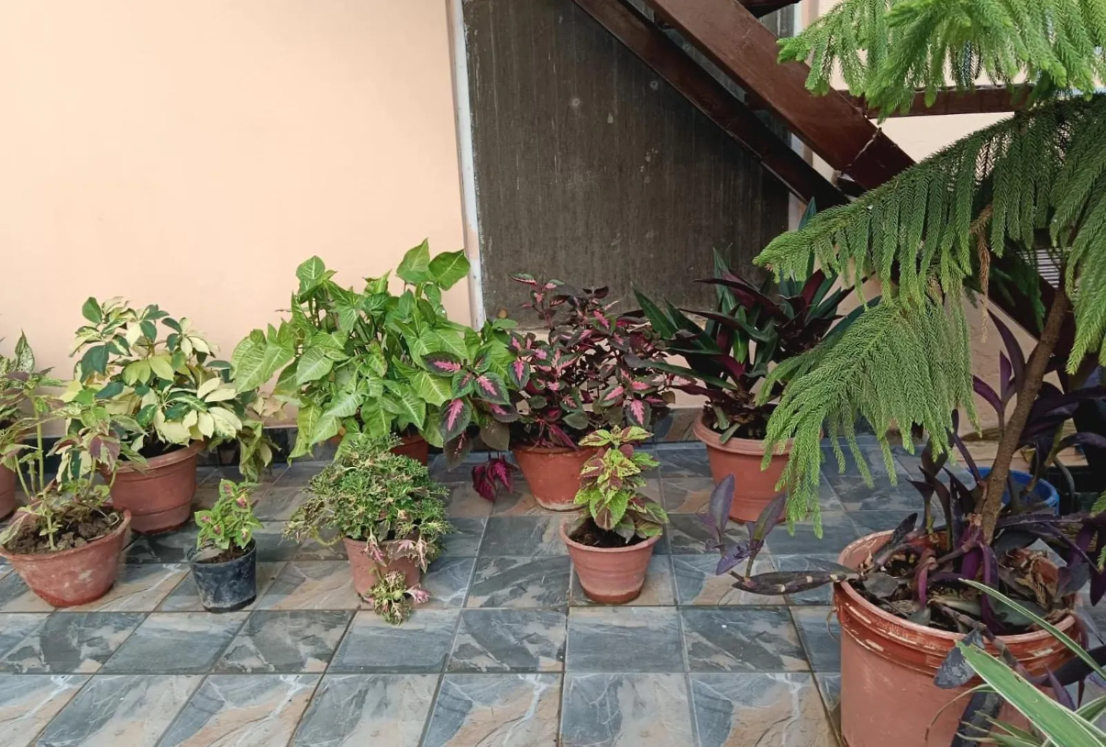 Appartamento Vrinda Garden Varanasi